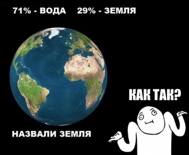 Веселые и забавные картинки