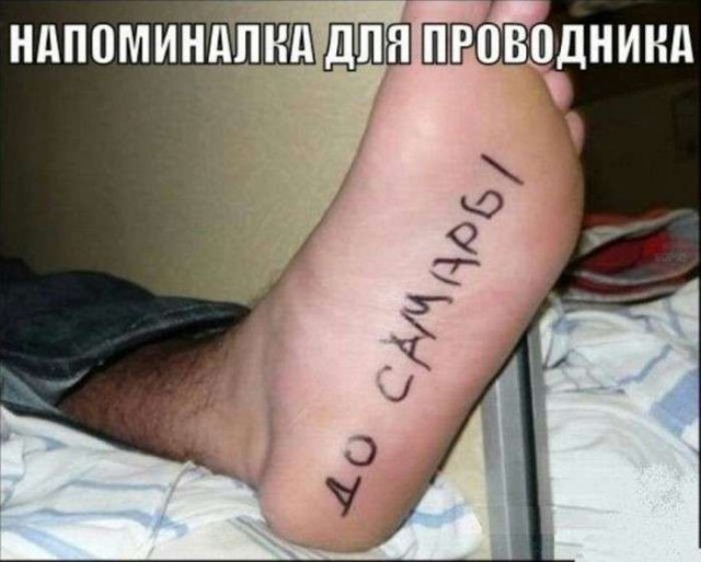 Забавные картинки из Сети