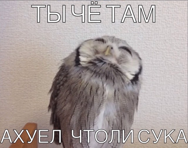 Газыри