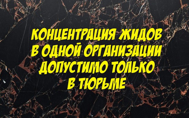 Высказывания из Интернета