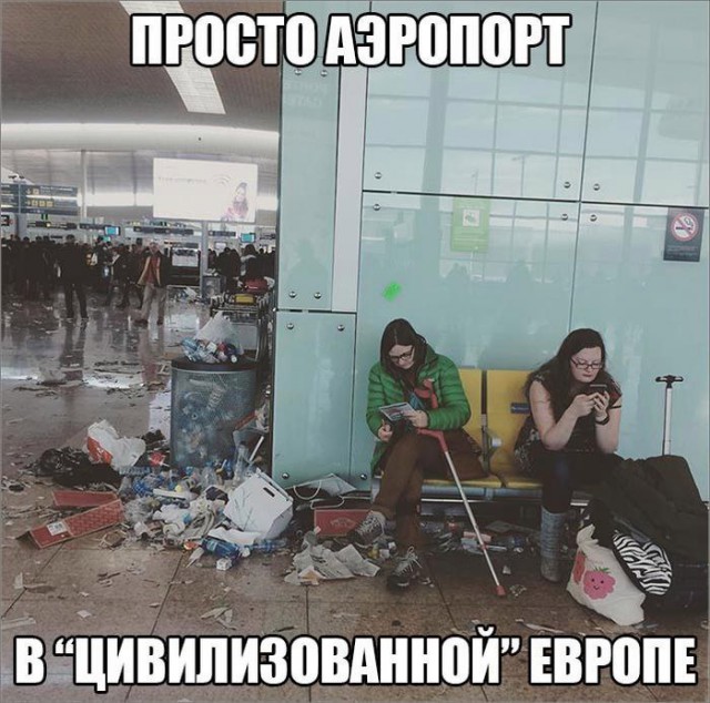 Подборка интересных и веселых картинок
