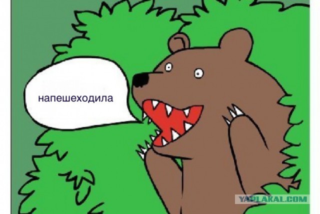Эталонный кретин на переходе