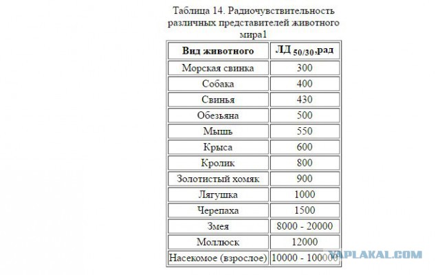На луне они были...