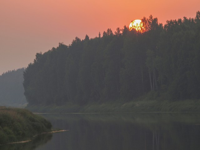 Несколько летних дней на Мологе. Фотоподборка.