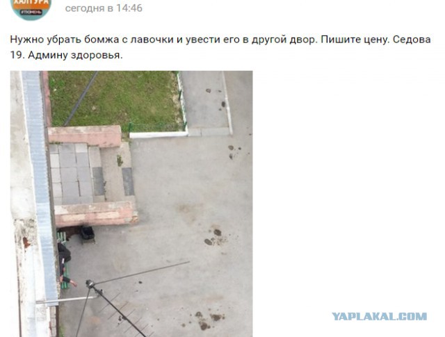 Ох, уж эти объявления на авито...