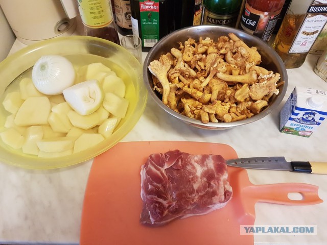 Вариация на грибную тему,лисички с мясом в сливках