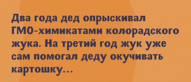 Как выращивают картошку в Германии