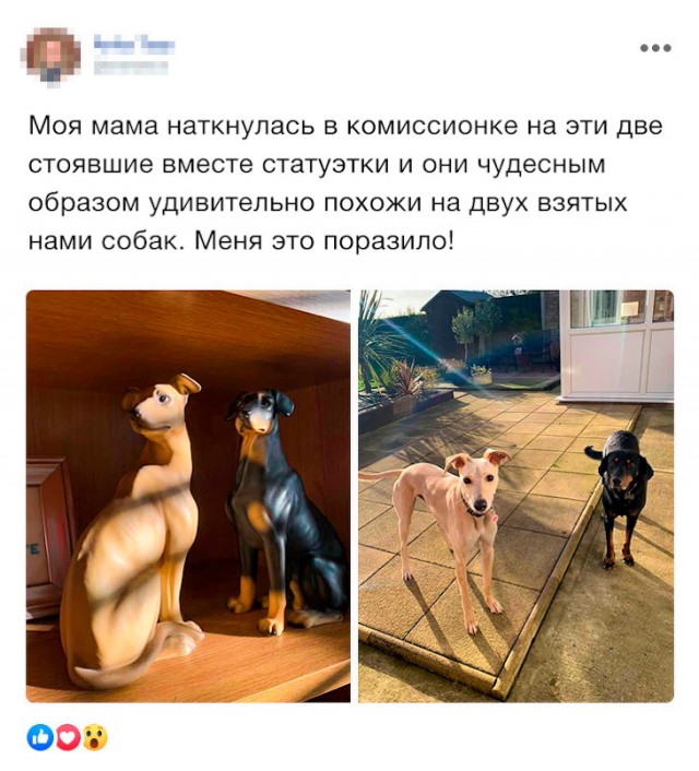 Немного картинок для настроения 12.02.20