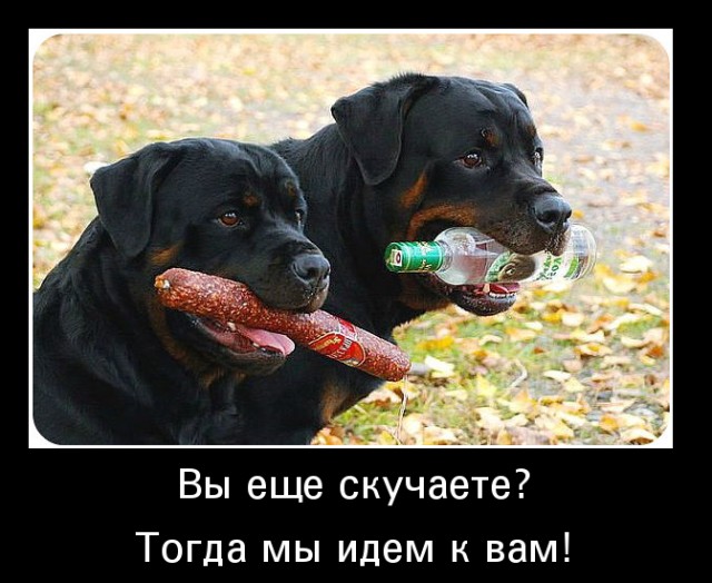 Чуток картинок 07.04.20