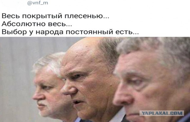 Жириновский настаивает на резком сокращении количества депутатов