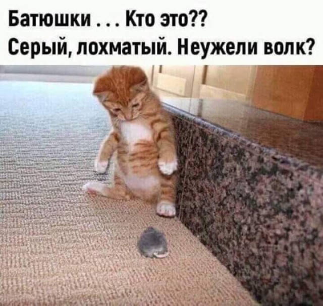 Немного картинок для настроения 18.07.20