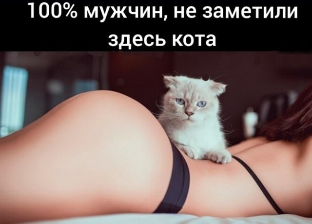 Баянисто-небаянистый юмор 03.02.21