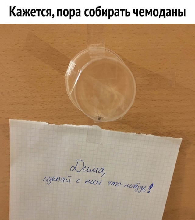 Немного картинок разной степени новизны и адекватности - 5