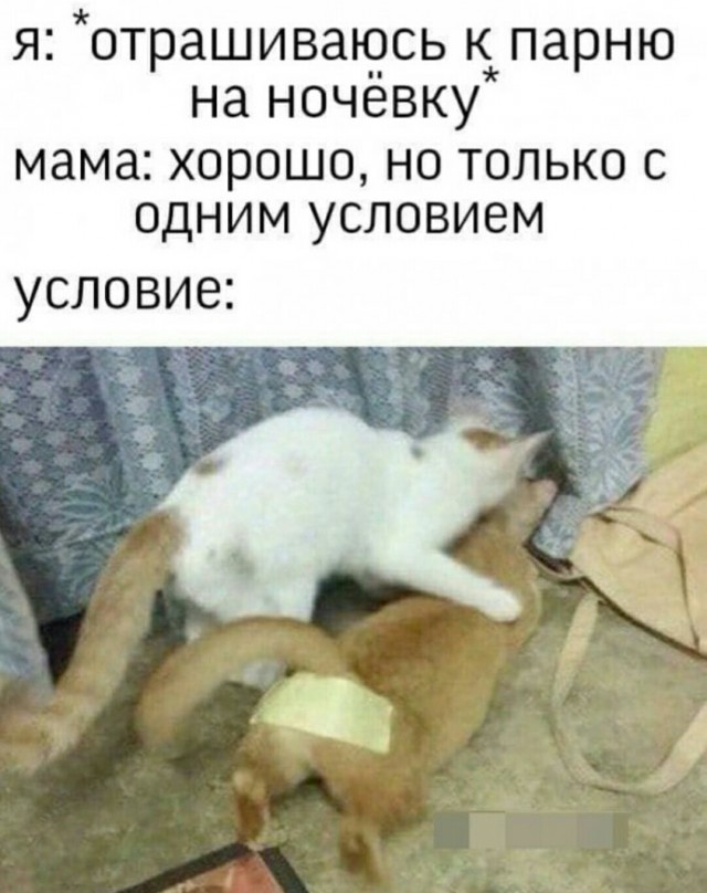 35 картинок разных 29.06.2021