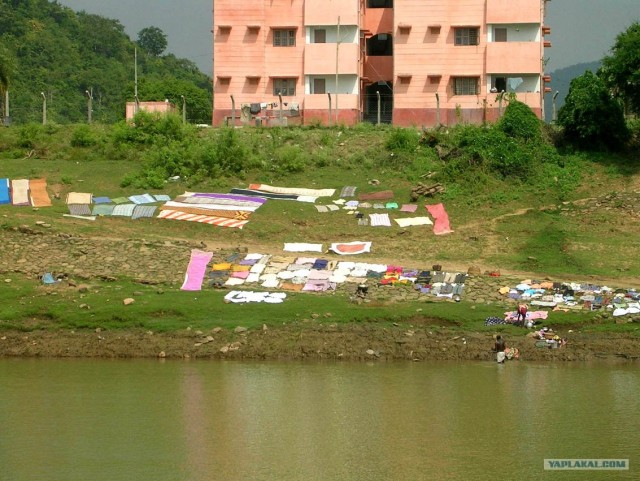 Индия 2007 - 2008 г.