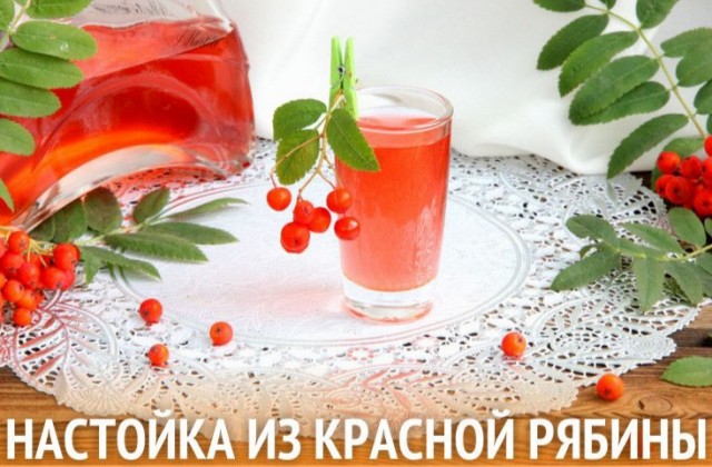 Пандемия съехавших крыш - разновидности болезни. Россия и мир. Часть 43.