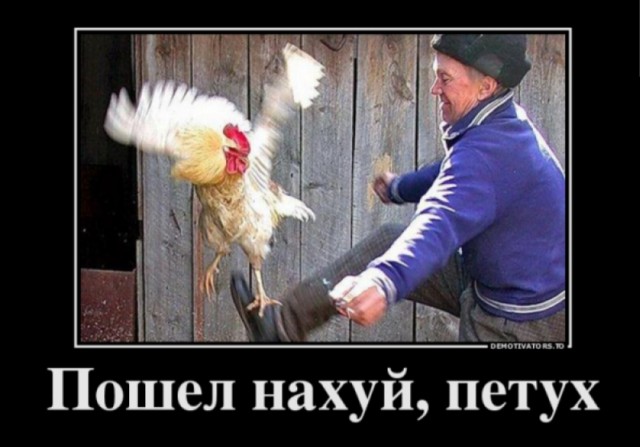 Володин запустил опрос об отмене Нового года в России