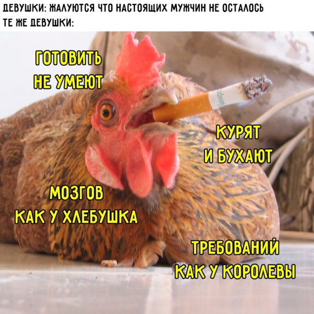 Весёлый полтишок 09.01.23