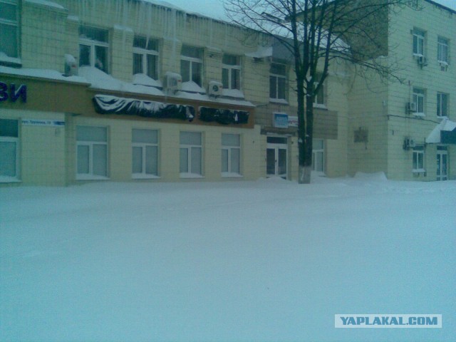 23 марта. Киев. Весна.