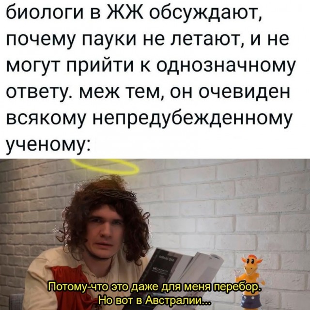 Немного картинок для настроения - 133