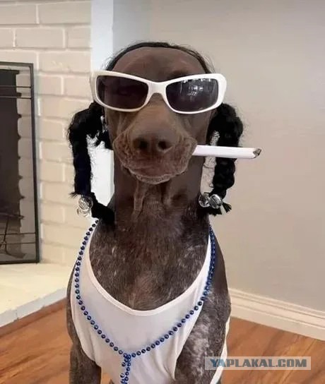 Snoop Dogg