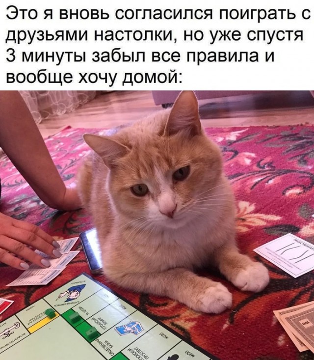 Картинки и мемы для настроения - 167