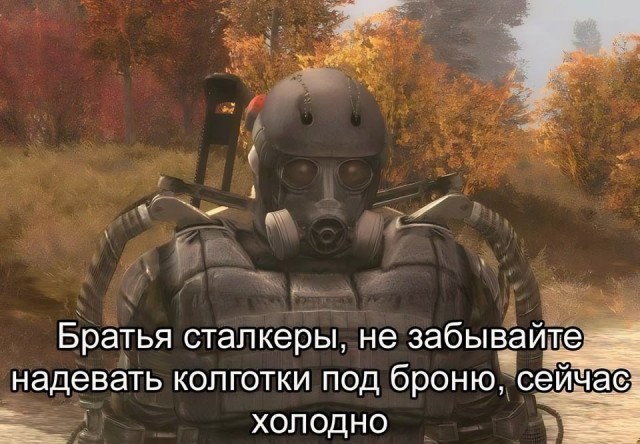 Всего понемногу. От 03.11.23