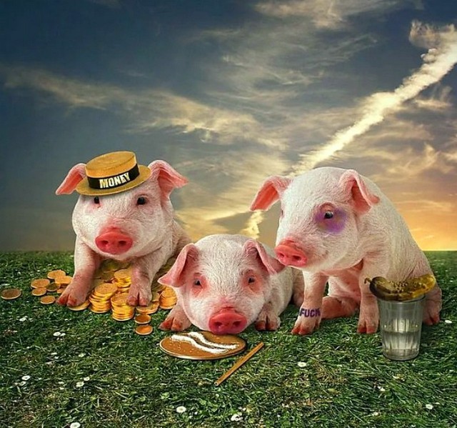 Винни-ЯПух, ЯПтачок и все-все-все...