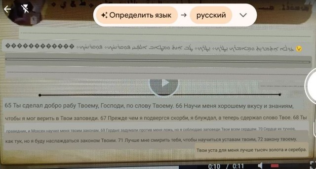 В Сиднее неизвестный напал с ножом на священника в церкви