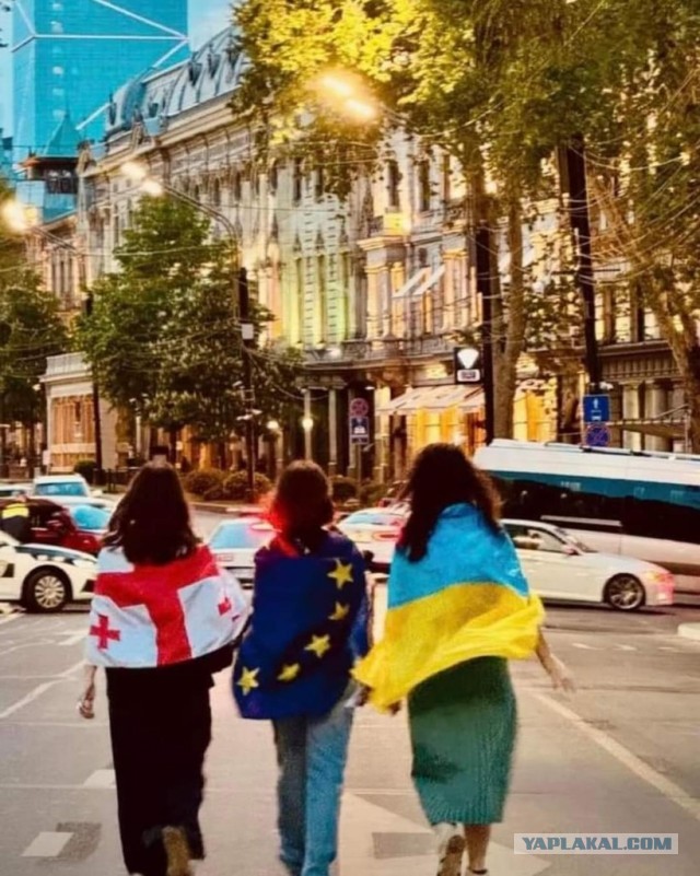 На протестах в Тбилиси разорвали флаг России