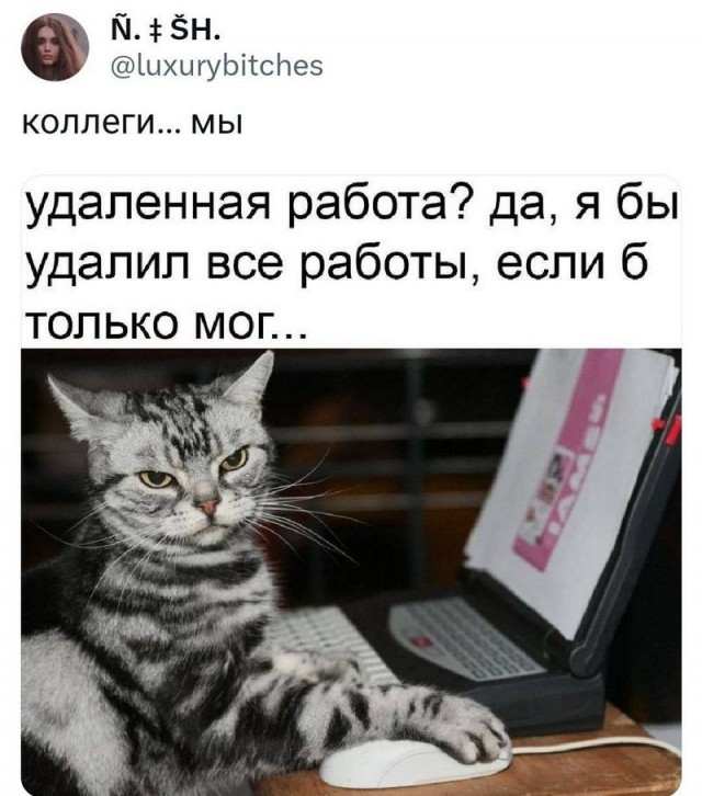 Завалялось тут случайно немного забавных картинок