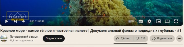 «Опустились до уровня канализации»: в Госдуме оценили творческий союз Шнурова и Инстасамки