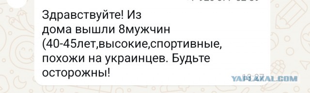 Очередная шиза