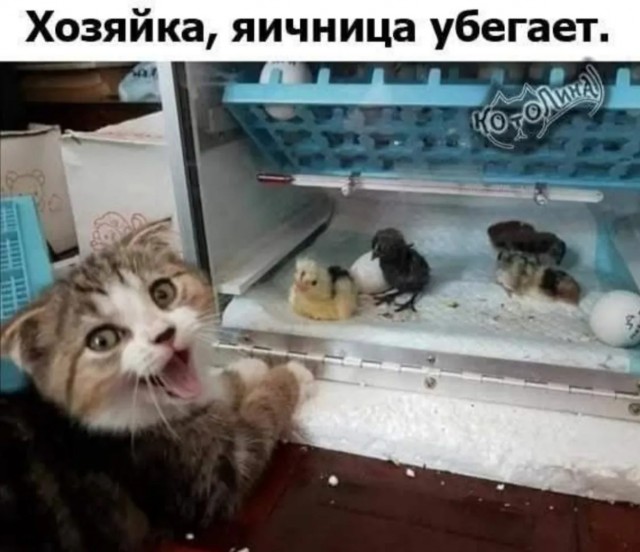 Завалялось тут случайно немного забавных картинок