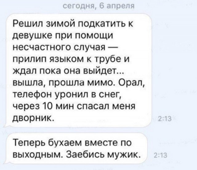 Пора деградировать. Дичь