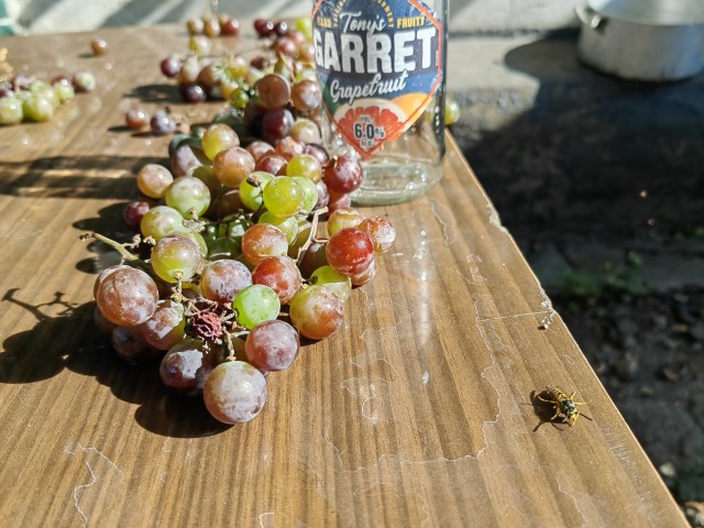 Пишу жене из Коста-Рики