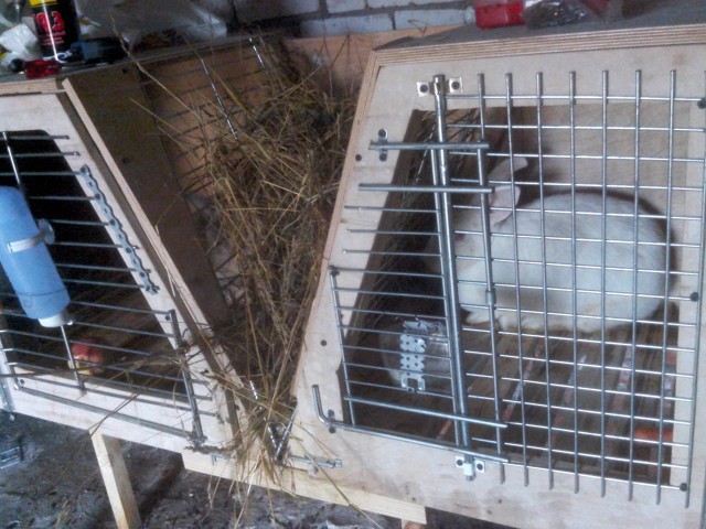 Комфортное жильё, но для кроликов.