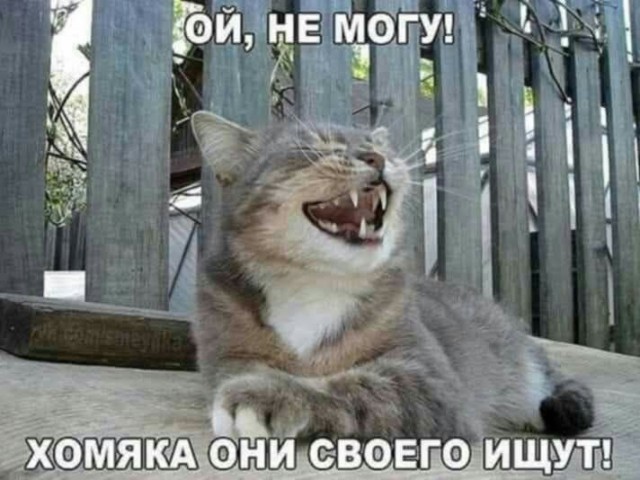 Картинки для деградации 57 (разной степени свежести)