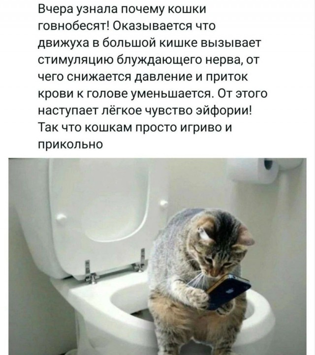 Не ленитесь!