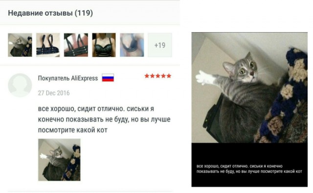Картинки для деградации 73 (разной степени свежести)