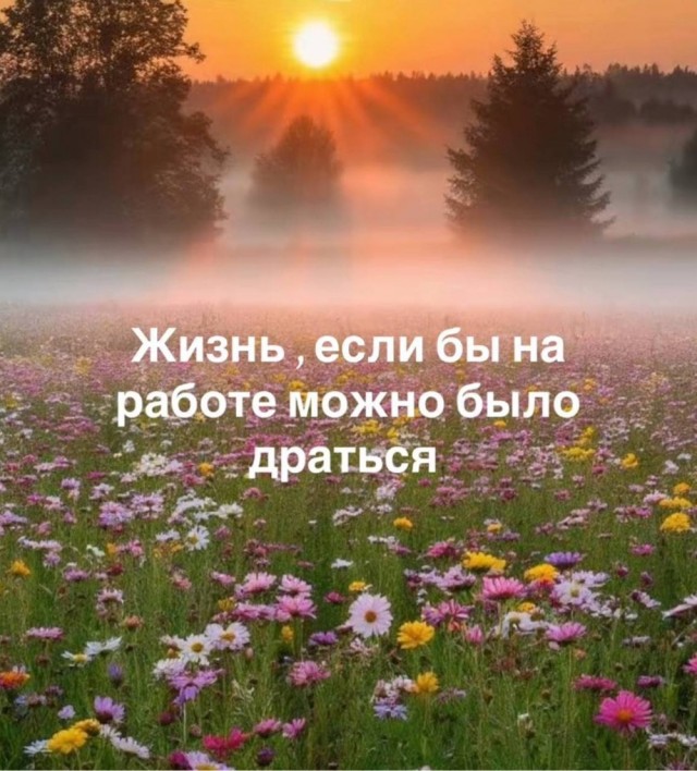 Субботние картинки