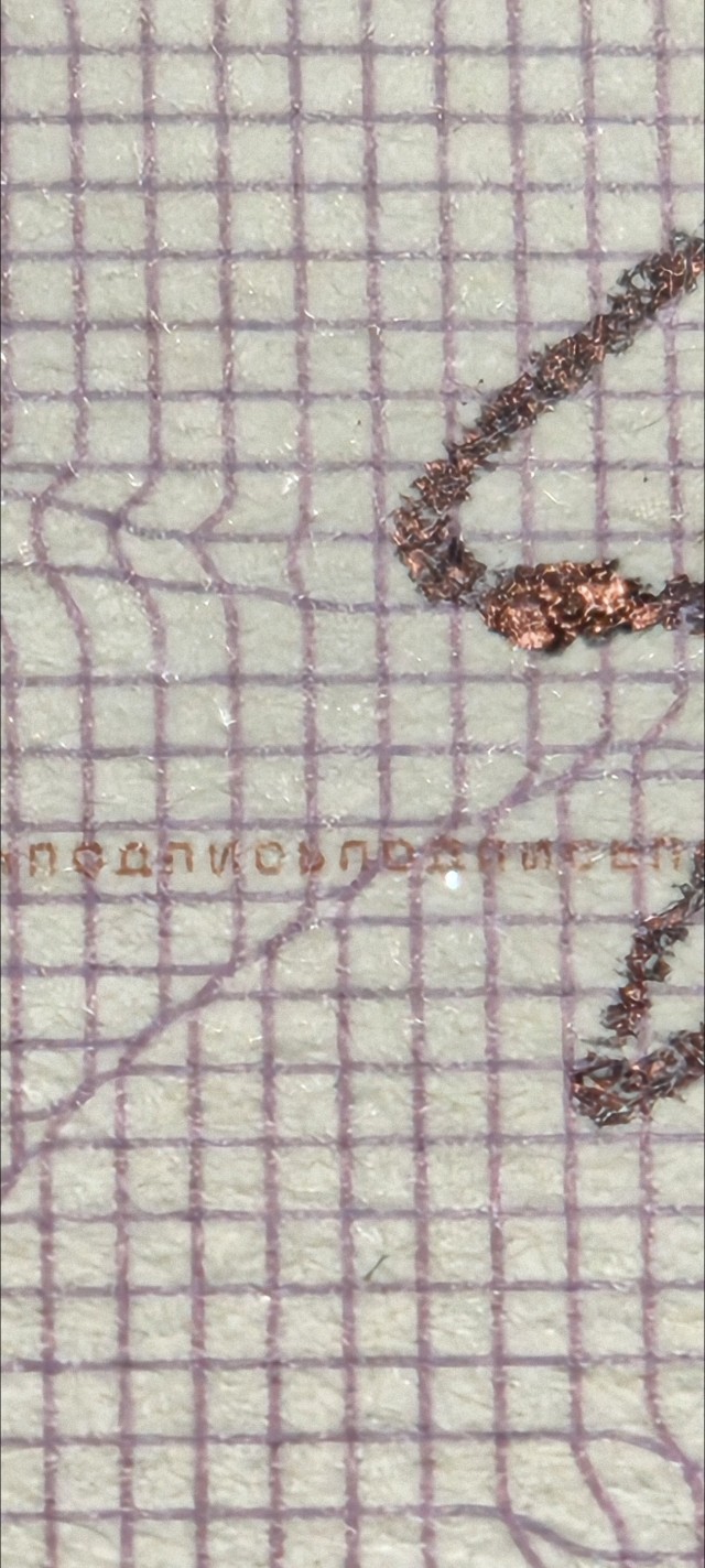 Чел случайно раскрыл секрет российского паспорта камерой смартфона