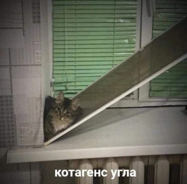 Картиночки, баянчики 11 мая