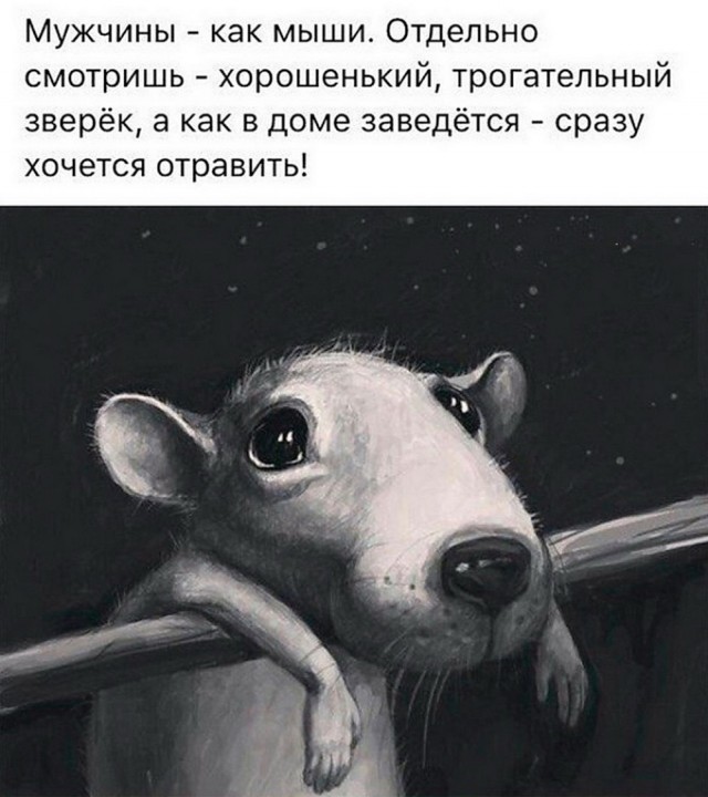 Вторника картинки