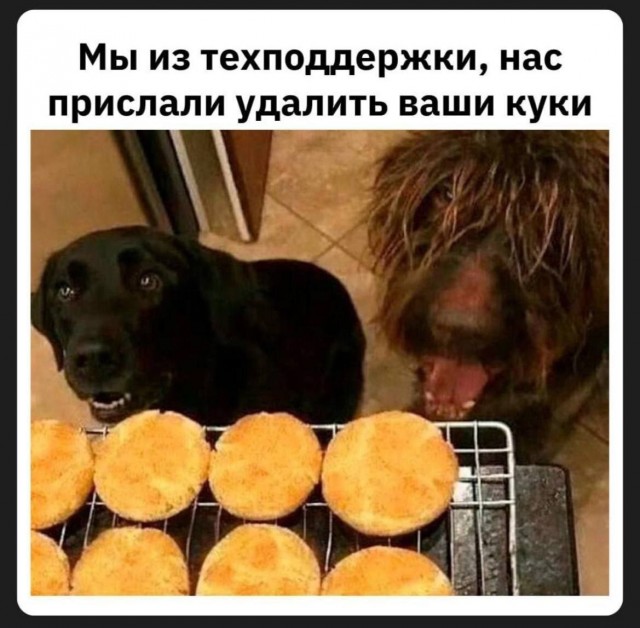 Картинки для улыбки #3