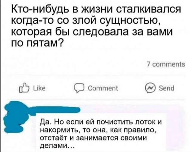 Картиночки, баянчики 15 июня