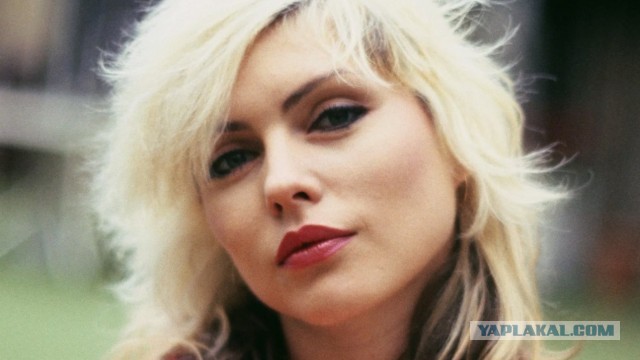 Blondie