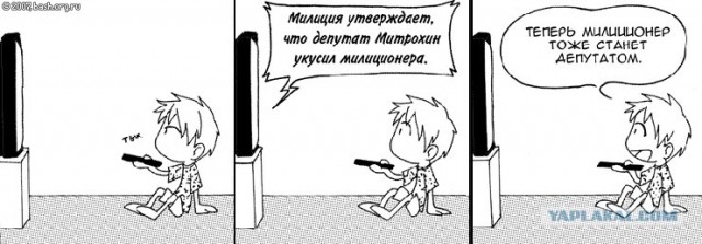 Как стать депутатом....