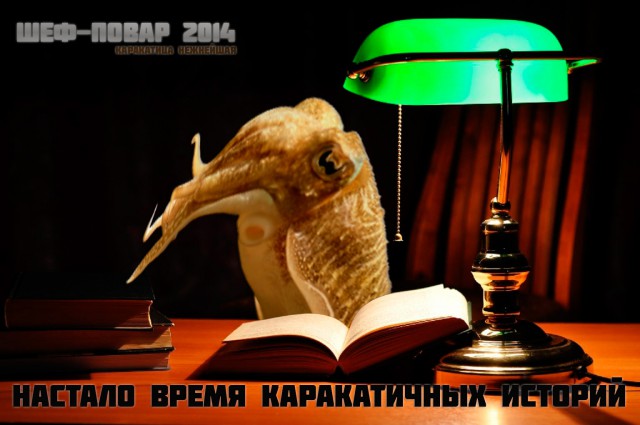 Финал кулинарного конкурса "Шеф-повар 2014"