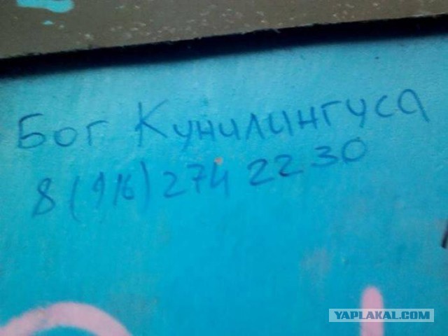 41 веселая картинка